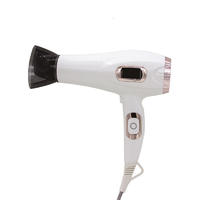 LCD Screen 2300W Long Life AC Motor Professional Hair Blow Dryer  With Ionic 6610